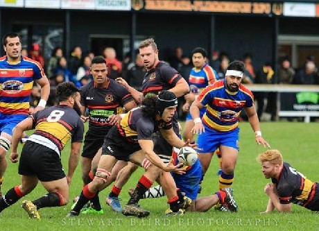 Penultimate round pressure-cooker in the Swindale Shield